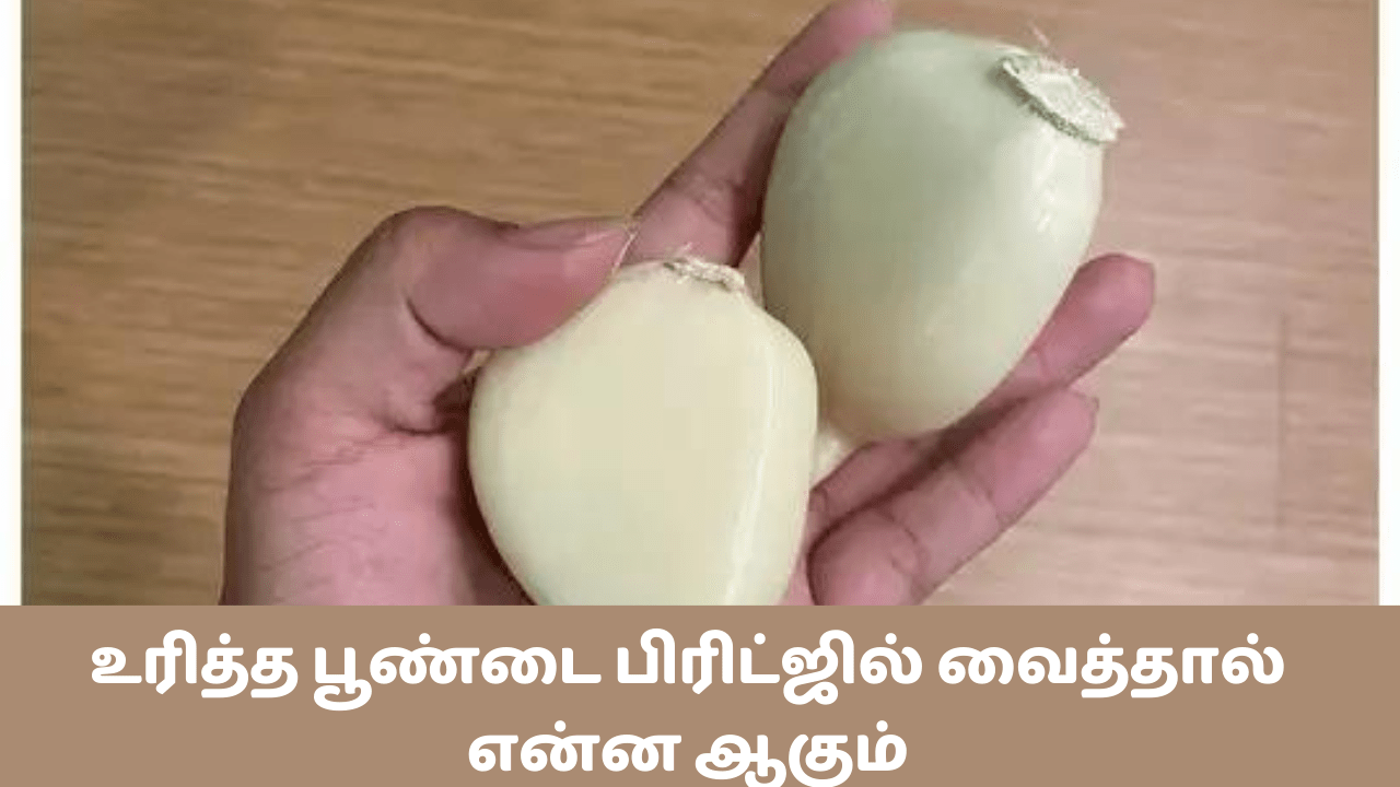 உரித்த பூண்டை பிரிட்ஜில் வைத்தால் என்ன ஆகும் – Today Jaffna News